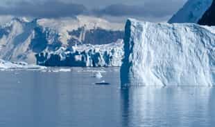 Get up close to Antarctic glaciers in Neko Harbour