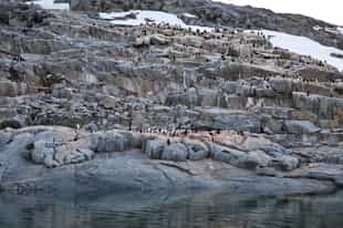 Explore the Pléneau & Petermann Islands