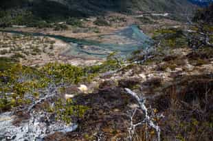 Explore Karukinka Park on a hike