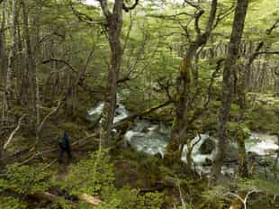 Discover Yendegaia National Park