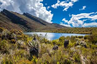 Explore Matarredonda's serene paramo ecosystem
