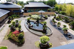 Visit Omiya Bonsai Art Museum, Tokyo