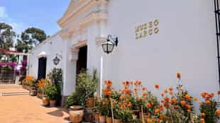 Visit Museo Larco