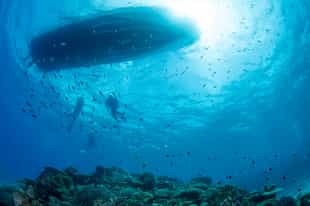 Go scuba diving in Okinawa