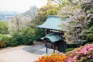 See the sites of Takamatsu city on a walking tour