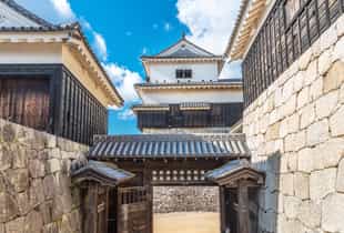 Take a walking tour in the Matsuyama Castle