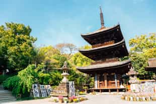 Visit the Ishite-ji Temple in Matsuyama