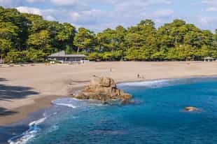 Discover the white sandy beaches of Kochi