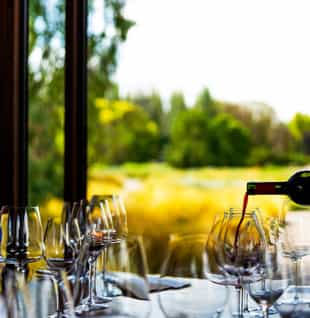 Taste the variety of Argentinian wines with a local connoisseur 