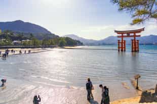 Visit Miyajima Island on a day tour