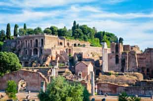 Discover Rome's birthplace, Palatine Hill