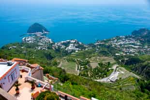 Go on a wine tasting tour in Ischia Island