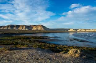 Explore the Valdes Peninsula