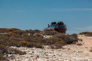 Traverse the Valdes Peninsula by 4x4