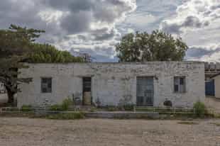 Learn about the history of the Valdes Peninsula