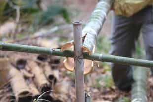 Learn how to make local bamboo art in Kanazawa