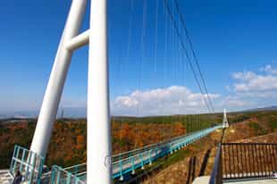 Walk across the Mishima Skywalk, Izu Peninsula