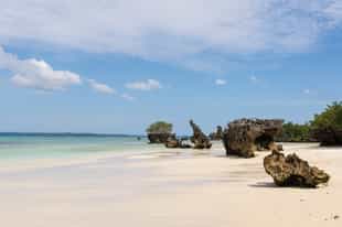 Walk on Pemba Island's beaches at low tide