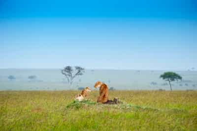 A deliciously diverse continent that grabs you by the heart and never really lets go.