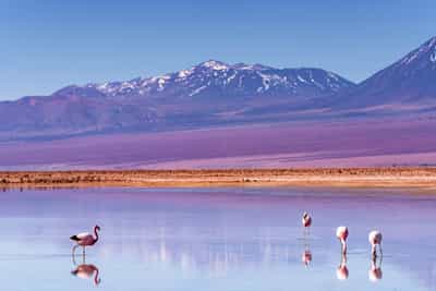 From mountains to steamy jungles, this is a continent that dances to a bold and beautiful beat.