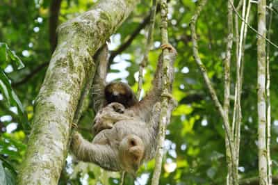 Spot wildlife hiking through the Ecocentro Danaus