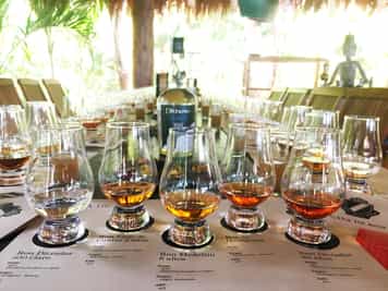 Go on a Colombian rum tasting tour in Cartagena 