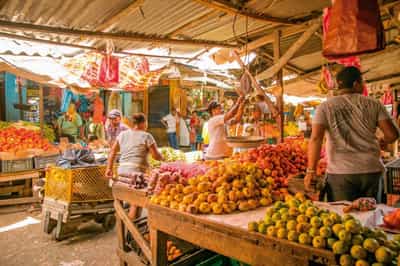 Explore the alleys of Bazurto Market, Cartagena