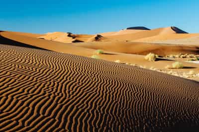 Explore the dunes of the Sossusvlei desert