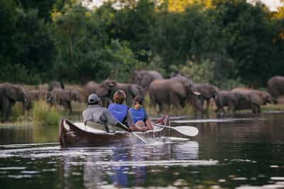 Go on a canoe safari in the Lower Zambezi