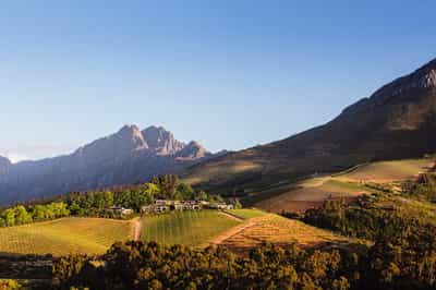 A wine tasting tour of Franschhoek's wine farms