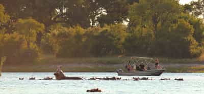 Float down the Zambezi on a sundowner cruise