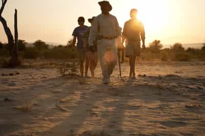 Spot wildlife on a Nyerere National Park walk