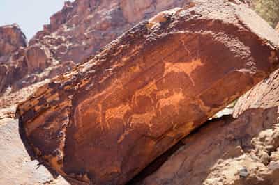 Examine ancient rock art in Damaraland