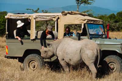 Visit the Ol Pejeta conservancy in Laikipia