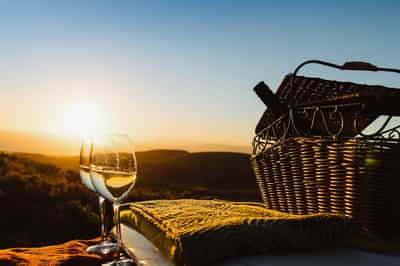 Go wine tasting in the Hemel-en-Aarde, Hermanus