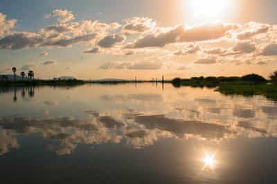 Take a boat cruise down the Rufiji River