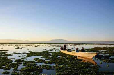 Go on a boat safari on Lake Naivasha