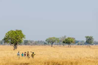 Walking safaris in Luambe National Park