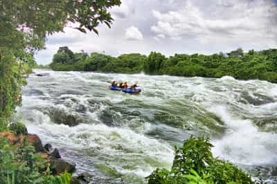 Go white water rafting down the Nile from Jinja