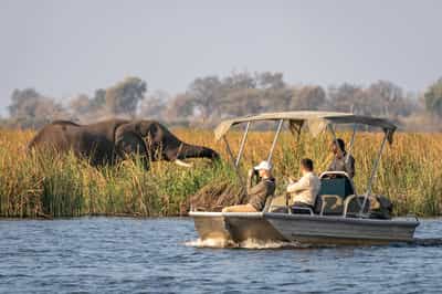 Take a day trip to Chobe for a boat safari