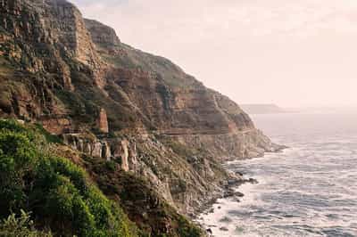 Explore the Cape Peninsula with your own guide