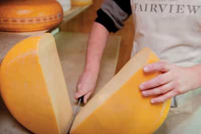 Try cheese and wine pairing in Stellenbosh