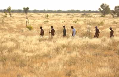 Spot wildlife on a Central Kalahari bush walk