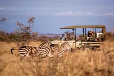 Track Tarangire's wildlife on a game drive