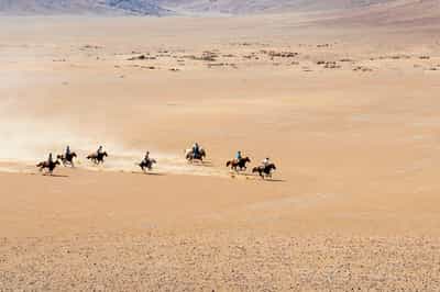 Gallop across the Damaraland desert on horseback