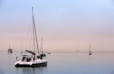 Head out on a catamaran cruise to spot Dolphins
