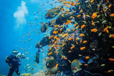 Go scuba diving off Benguerra Island