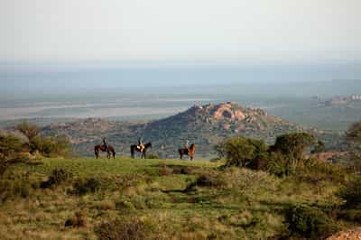 Ride amongst Laikipia's wildlife on horseback