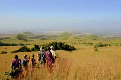 Spot wildlife in Amboseli on a bush walk