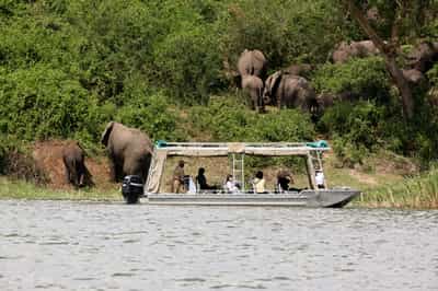 Enjoy a sundowner boat cruise in Queen Elizabeth